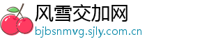 风雪交加网